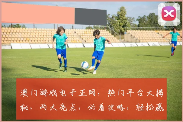澳门游戏电子正网，热门平台大揭秘，两大亮点，必看攻略，轻松赢取大奖