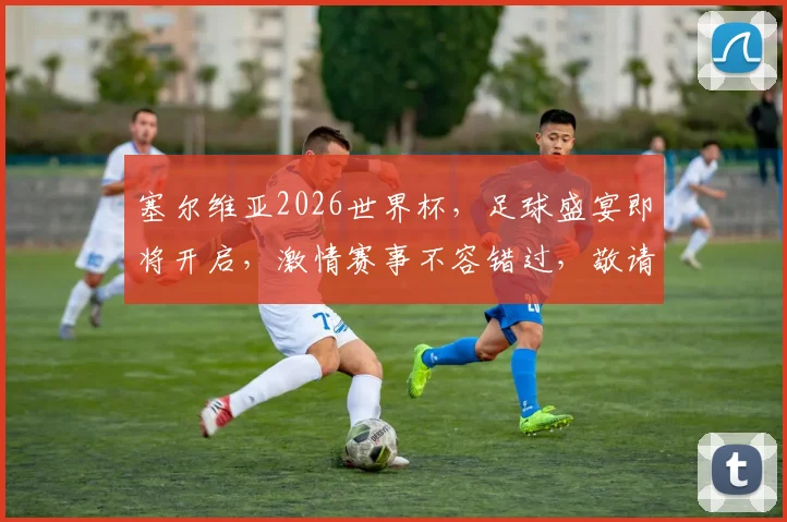 塞尔维亚2026世界杯，足球盛宴即将开启，激情赛事不容错过，敬请期待