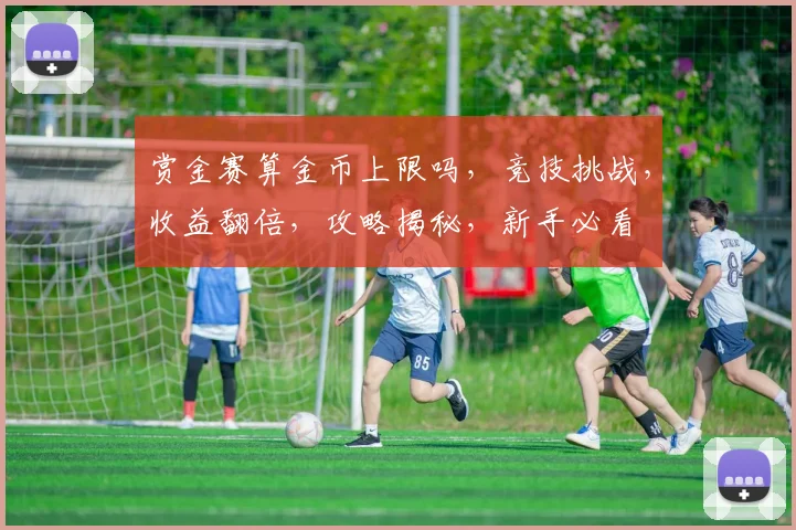 赏金赛算金币上限吗，竞技挑战，收益翻倍，攻略揭秘，新手必看