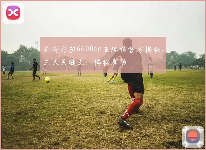 公海彩船6600cc正规吗官方揭秘，三大关键点，揭秘真伪