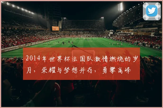 2014年世界杯法国队激情燃烧的岁月，荣耀与梦想并存，勇攀高峰