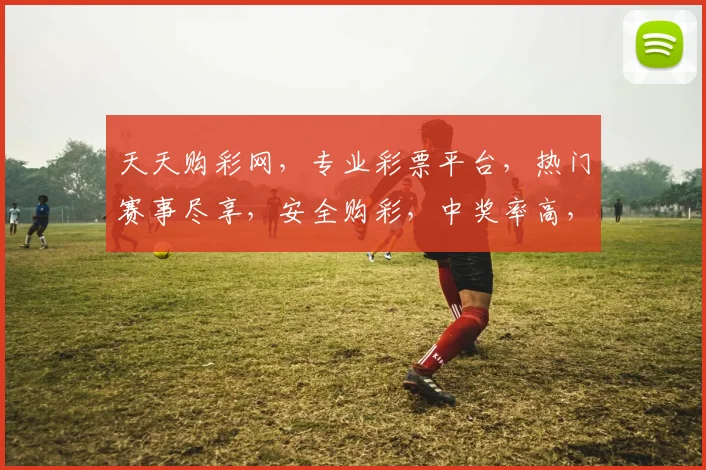 天天购彩网，专业彩票平台，热门赛事尽享，安全购彩，中奖率高，三重惊喜，不容错过