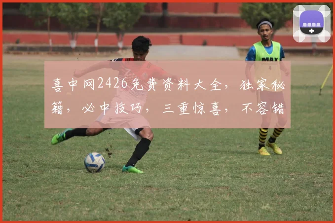 喜中网2426免费资料大全，独家秘籍，必中技巧，三重惊喜，不容错过，速来领取